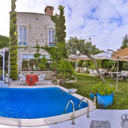 My Stone - Special Category אורחן 3*