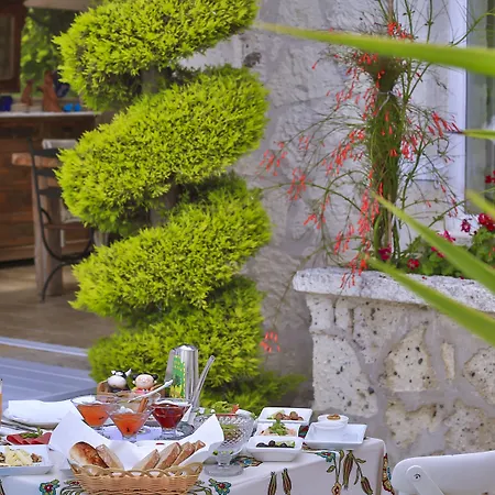 אורחן My Stone - Special Category