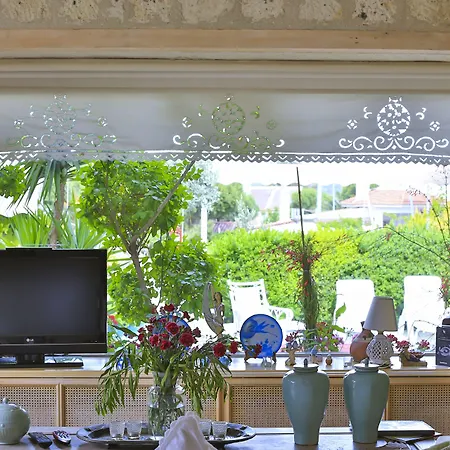 אורחן My Stone - Special Category 3*