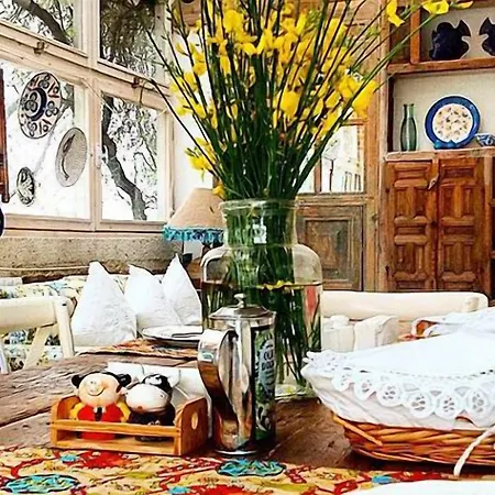 אורחן My Stone - Special Category