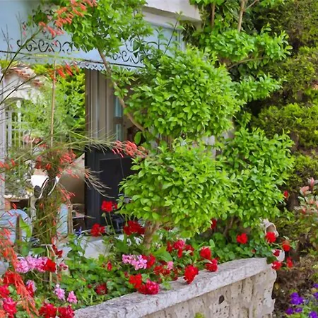 My Stone - Special Category אורחן