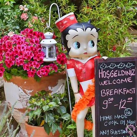 My Stone - Special Category אורחן