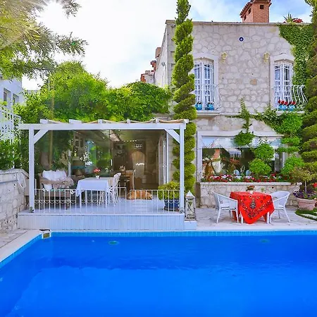 אורחן My Stone - Special Category 3*