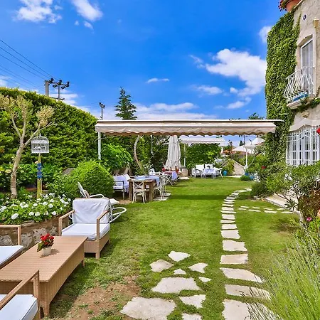 אורחן My Stone - Special Category