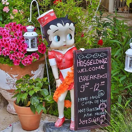 My Stone - Special Category Penzion Çeşme