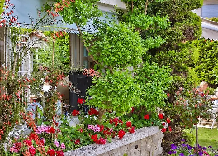 Herberg My Stone - Special Category