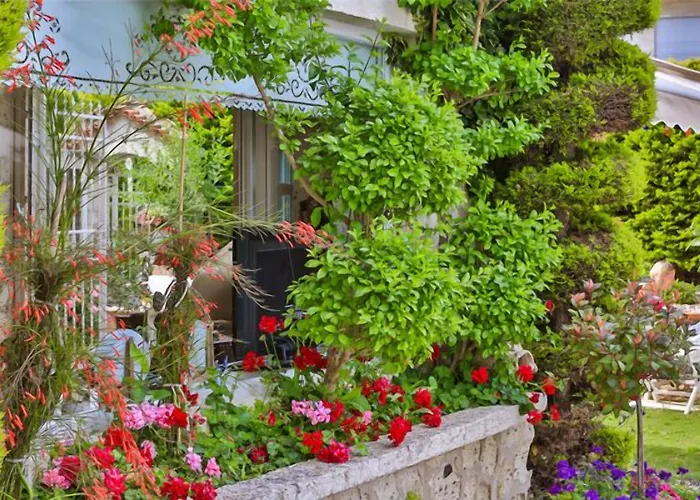 My Stone - Special Category Herberg