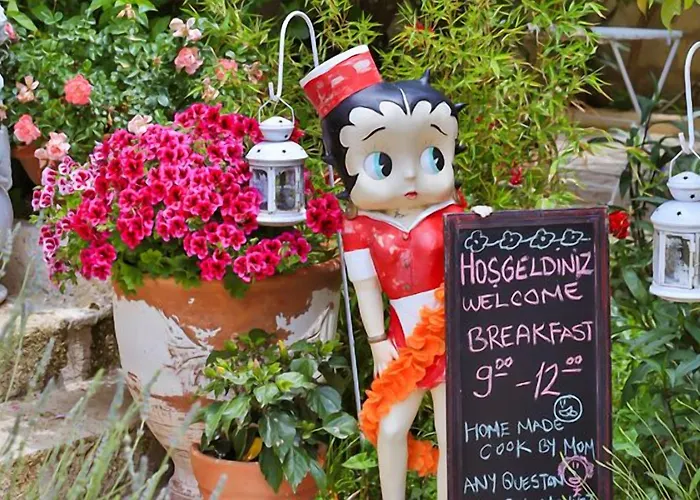 My Stone - Special Category Herberg