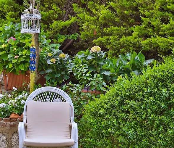 My Stone - Special Category